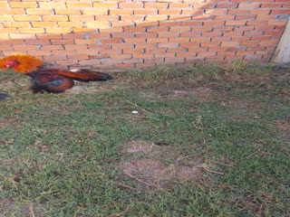 Ae đăng ký kênh ủng hộ mình nha. Thank ae!