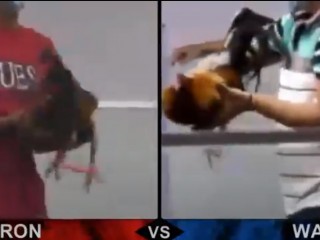 Đá gà cựa dao ngày 30/04/2021