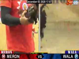 Đá gà cựa dao ngày 04/12/2020