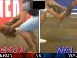 Đá gà cựa dao ngày 08/04/2021