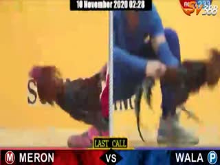 Đá gà cựa dao ngày 02/11/2020