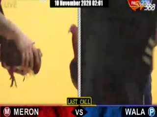 Đá gà cựa dao ngày 03/11/2020