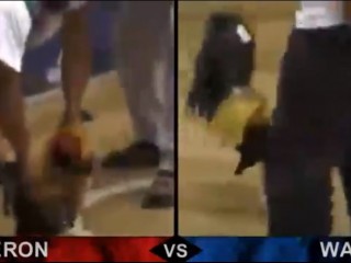 Đá gà cựa dao ngày 16/04/2021