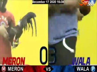 Đá gà cựa dao ngày 19/12/2020