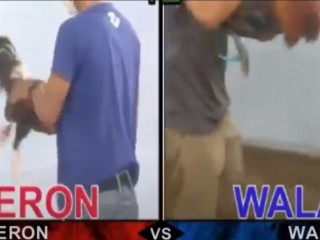 Đá gà cựa dao ngày 21/04/2021