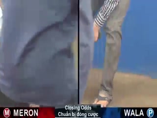 Đá gà cựa sắt ngày 22/11/2020