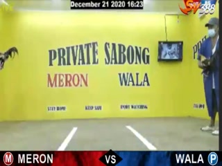 Đá gà cựa dao ngày 23/12/2020
