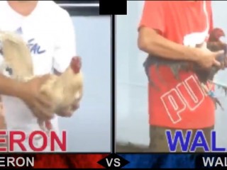 Đá gà cựa dao ngày 24/04/2021