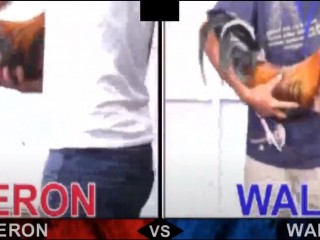 Đá gà cựa dao ngày 28/04/2021