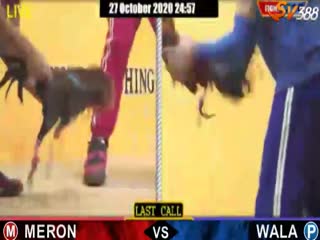 Đá gà cựa dao ngày 28/10/2020