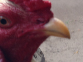 8A643F68-EC87-47AE-886E-45B22BD5ABE7